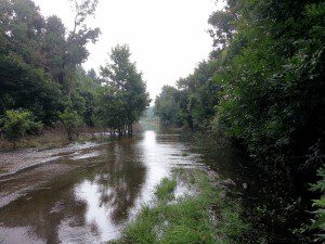 Tom Goethe Road outside Clyo_GA