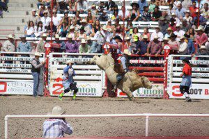 Cheyenne Frontier Days Bull Riding