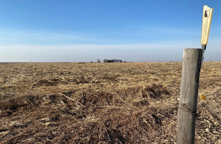 A vast, flat agricultural field covered in dried crop residue under a clear blue sky. In the foreground, a wooden fence post with a yellow marker stands, indicating a conservation or land management program. A small cluster of trees and buildings is visible in the distant background. It's part of No-Till Farming. Picture taken by a Nebraska planner.