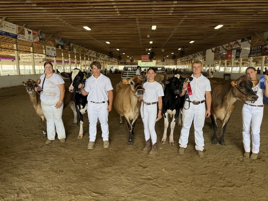 county free fair shiawassee