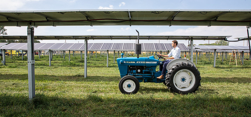 Jack's Solar Garden