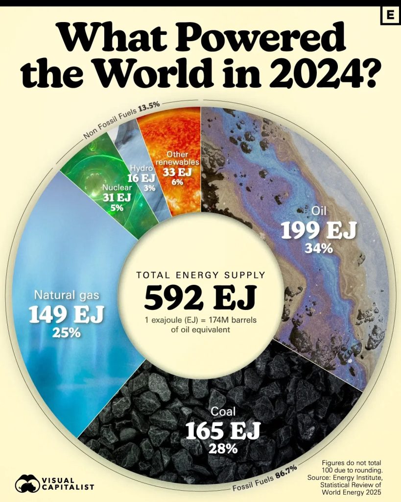 What powered the World in 2024