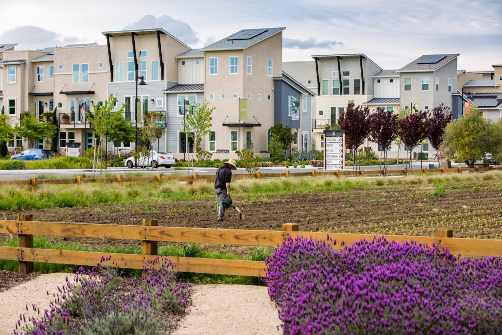 The Cannery agri-hood, photo by developer SWA Group