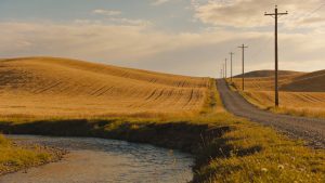 Gravel road with telephone poles