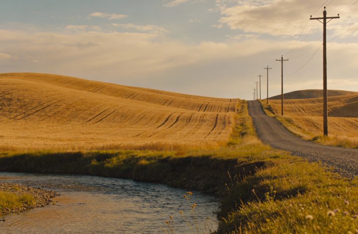 Gravel road with telephone poles