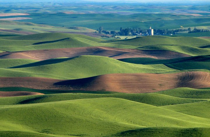 By Lynn Suckow from Walla Walla, WA, USA - Hills, grain elevator, and little yellow plane (really), CC BY-SA 2.0, https://commons.wikimedia.org/w/index.php?curid=5706900